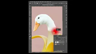 Photo manipulation with Photoshop | Duck and Banana