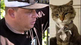 Heartbroken man wants accountability after surveillance video captures dog killing his cat