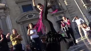 María. Beautiful Flamenco dancer in Granada