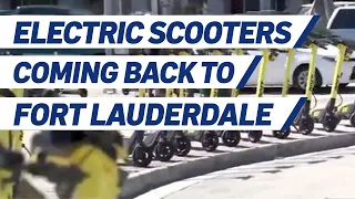 Future of E-Scooters in Limbo in Miami as Fort Lauderdale Set To Begin New Program