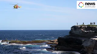 From the Newsroom Podcast: Sydney's first fatal shark attack in almost 60 years