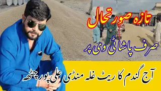 آج گندم کا ریٹ غلہ منڈی علی پور چٹھہ 2024-04-24