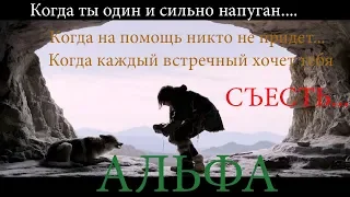 Альфа |смотреть онлайн|трейлер 2018