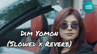 Dim Yomon|Aida @AIDAOFFICIAL1 #uzbekistan #slowedandreverb #subscribe #views