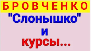 Бровченко.  Психология и Бровченко. Обзор влогов. 22 09 2023 Бровченко