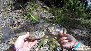 Fishing at the Hillsborough state park