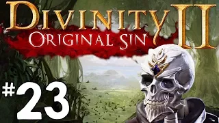 Divinity Original Sin 2 - Let's Play Episode #23: The Dragon Whisperer