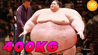 🔴8 Bí Mật Đằng Sau Nghề Sumo Của Nhật Bản...Lột Trần Sự Thật Về Nghề Sumo | KGH Amazing