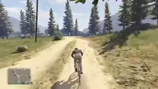 Whippet Race Bicycle Spawn Location