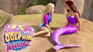 DIY Mermaid Tail | Dolphin Magic | @Barbie