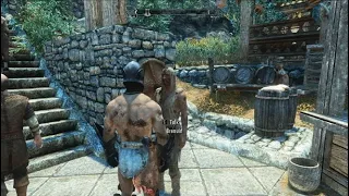 Skyrim - Character's Reactions to You being NAKED!