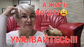 Посиделки с кошкой😳 То пандемия,  то война.... А жить когда?  Как не стыдно! 😱