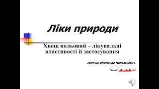 Хвощ польовий – лікувальні властивості й застосування. Домашні університети . Ліки природи