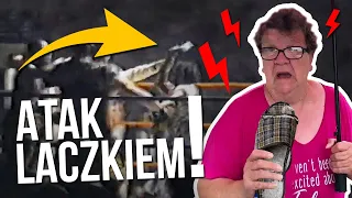 WŚCIEKŁA MATKA wpadła na ring z LACZKIEM | ZABAWNA HISTORIA