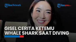 Gisel Cerita Ketemu Whale Shark Saat Diving di Gorontalo, Celana Selamnya Jadi Gunjingan