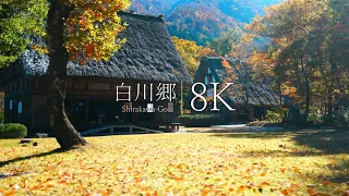 【白川郷の穴場エリア】民家園の紅葉 - Japan in 8K