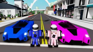 RACE CAR DRIVER IN BROOKHAVEN! (Roblox)