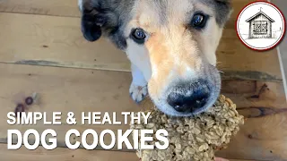 Simple & Healthy Dog Cookies