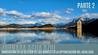 Innovación en la gestión de los montes para la optimización del agua azul (Parte 2)