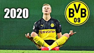 Erling Haaland 2020 ● Best Skills & Goals ||Full HD