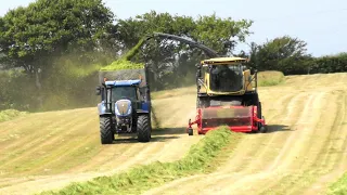 Silaging with New Holland FR 920 with Massive Crop of Grass!