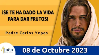 Evangelio De Hoy Domingo 8 Octubre  2023 l Padre Carlos Yepes l Biblia l Mateo 21,33-43 l Católica