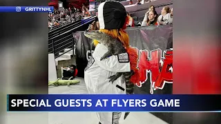 Gritty hangs with emotional support alligator at Philadelphia Flyers game