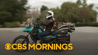 A German shepherd travels the world via motorcycle