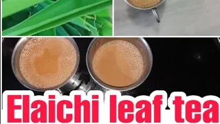 ఎంతో రుచికరమైన యాలుకల ఆకు తో టీ  elaichi leaf tea