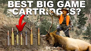 341: Best BIG GAME Cartridges?