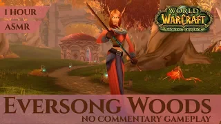 Eversong Woods - Gameplay No Commentary, ASMR (1 hour, 4K, World of Warcraft The Burning Crusade)