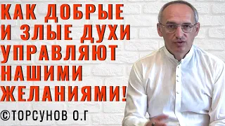 Как добрые и злые духи управляют нашими желаниями! Торсунов лекции