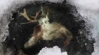 10 Strangest Things Found In Ice!