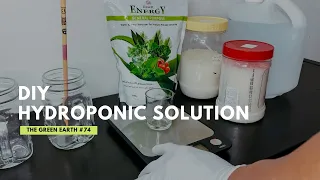 How to Make Your Own Hydroponic Solution at Home? | DIY Hydroponic Nutrients