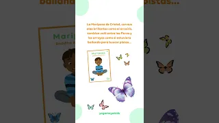 El jardín encantado CUENTO PARA SECUENCIA DE #yogakids