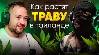 Гровер про каннабис фермы в Тайланде // Как делать миллионы $$$ легально