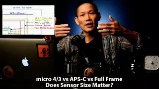 micro 4/3 vs APS-C vs Full Frame - Does (sensor) Size Matter?