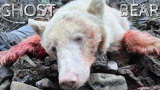 IDAHO POLAR BEAR!!! | A Spring Bear Hunt