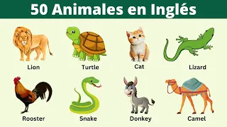 50 nombres de animales en inglés | Vocabulario en inglés