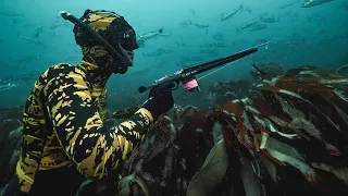 SPEARFISHING BASICS IN UNDER 2 MINUTES