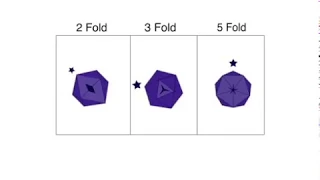 2-fold, 3-fold, and 5-fold axis of rotation in an icosahedron (virus capsid)