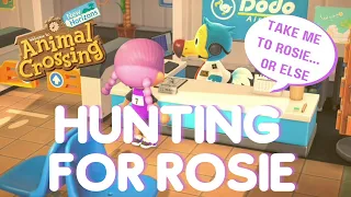 Hunting for Rosie | Animal Crossing New Horizons Villager Hunt