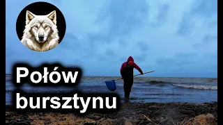 Poławianie bursztynu #2 [WhiteWOLF]