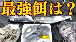 第6回　男女群島　最強の釣り餌は？厳選５種でするするスルルー釣り