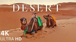 Desert in 4K ||  How is Desert ? ||  The Most Surreal Desert Landscapes 4k  || Calm Music ||