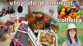 DOMINGO LINDO DE CHUVA E COMIDA BOA/ PREPAREI CAFÉ DA MANHÃ/ ALMOÇO + COLHEITA NA HORTA/ TUDO VERDE💚