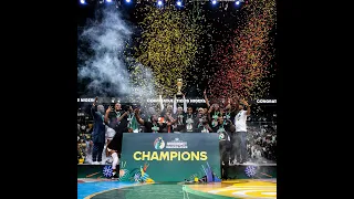 4 PEAT D'TIGRESS