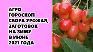 Агрогороскоп сбора урожая и заготовок на зиму в июне 2021 года