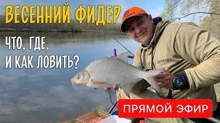 Весенний фидер. Что, когда и где ловить? Прямой эфир.