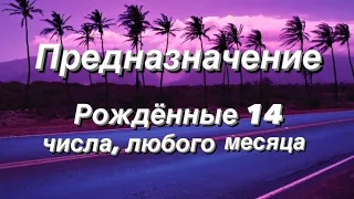 Предназначение. Реализация. Рожденные 14 числа